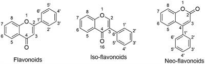 Reversal of Multidrug Resistance in Cancer by Multi-Functional Flavonoids